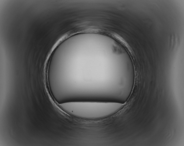 X0000085021475200703050926