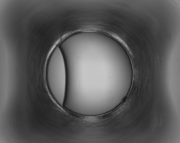X0000085021477200703050926