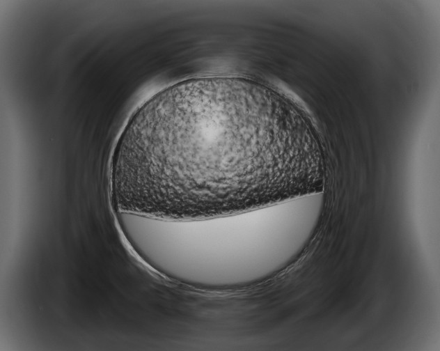 X0000085021479200703050926