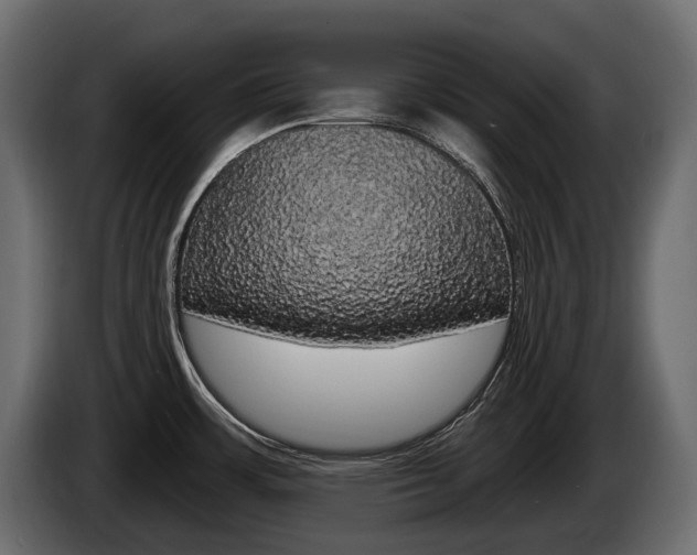 X0000085021483200703050926