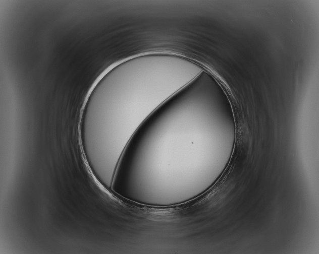 X0000085021484200703050926
