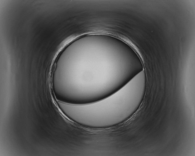 X0000085021485200703050926