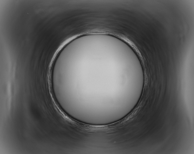 X0000085021486200703050926