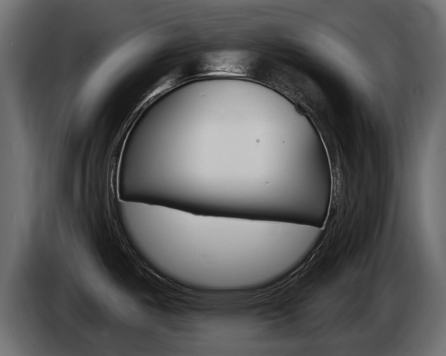 X0000085021487200703050926