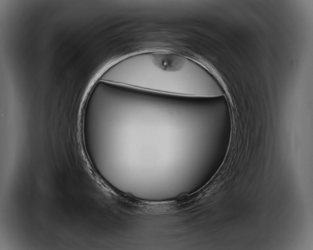 X0000085021488200703050926