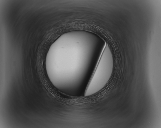 X0000085021489200703050925