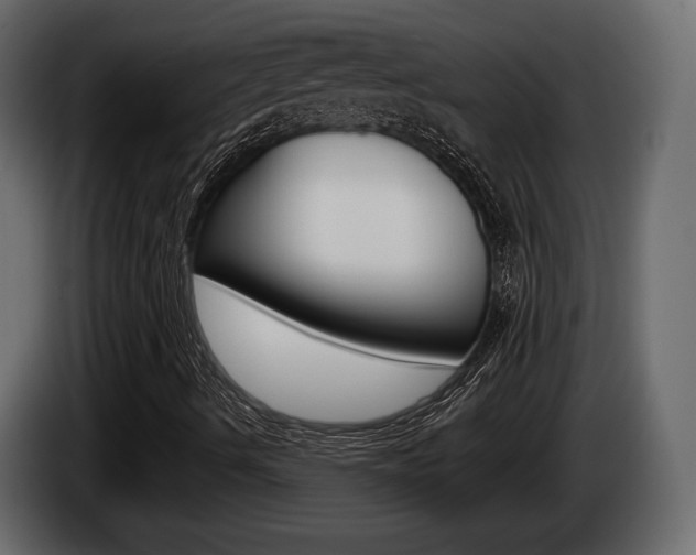 X0000085021490200703050925