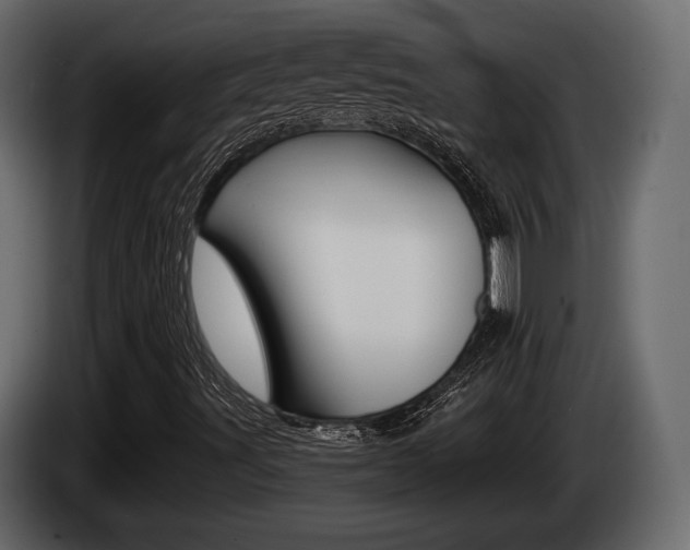 X0000085021491200703050925