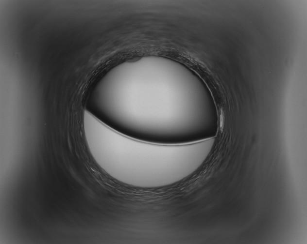 X0000085021492200703050925