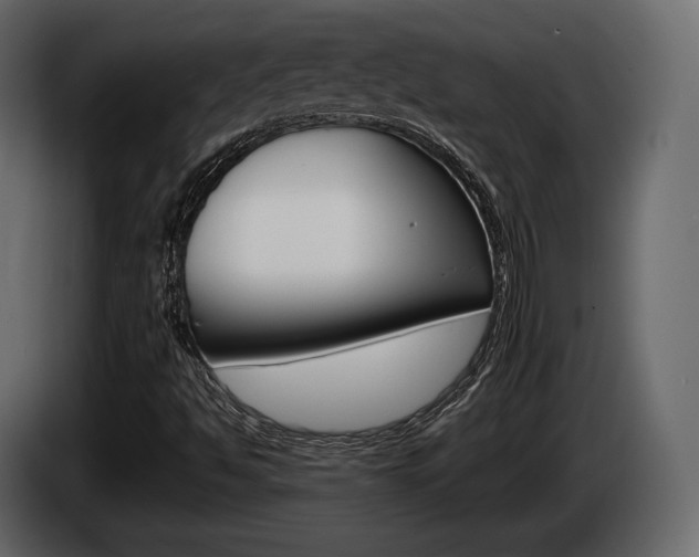 X0000085021494200703050925