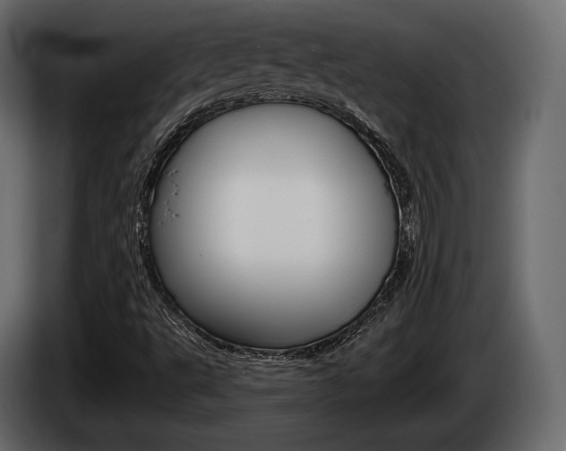 X0000085021495200703050925