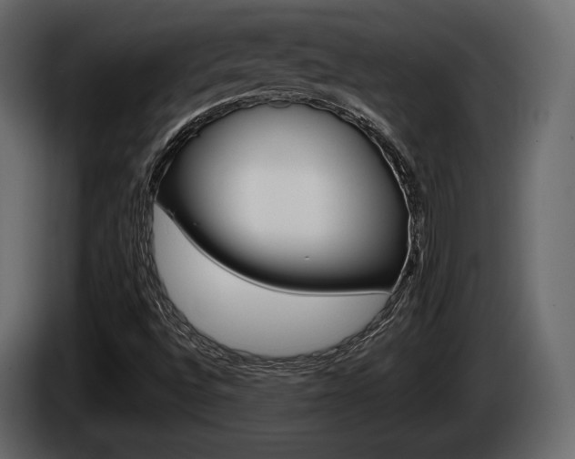 X0000085021496200703050925