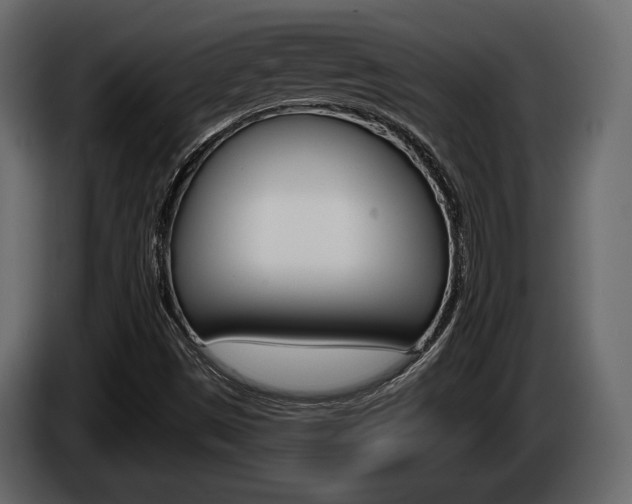 X0000085021497200703050925