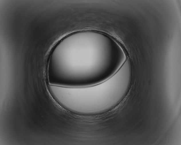 X0000085021500200703050925