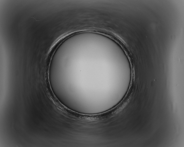 X0000085021501200703050925