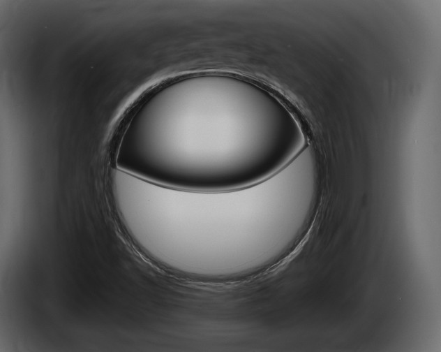X0000085021502200703050925