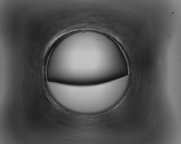 X0000085021503200703050925