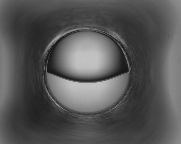 X0000085021504200703050925
