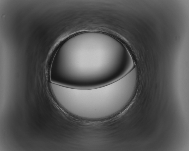 X0000085021506200703050925