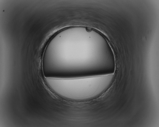 X0000085021507200703050925