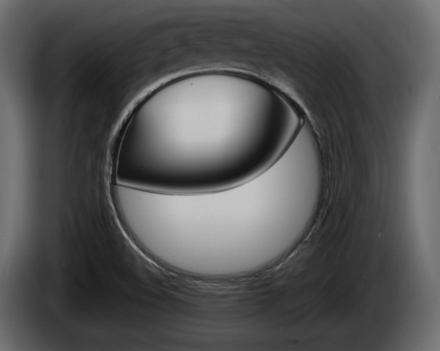 X0000085021508200703050925