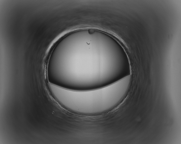 X0000085021510200703050925
