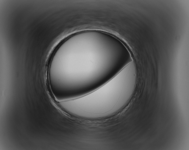 X0000085021511200703050925