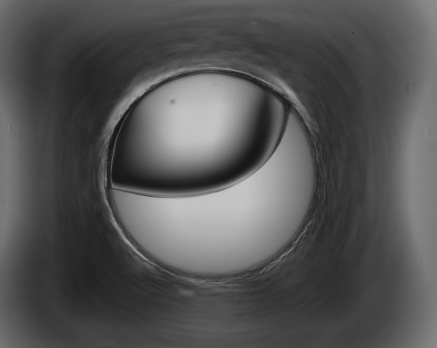 X0000085021512200703050925