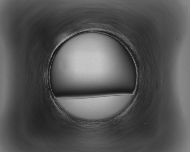 X0000085021513200703050925