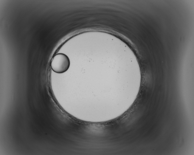 X0000085021514200703050925