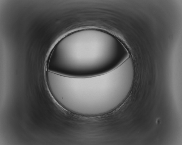 X0000085021516200703050925