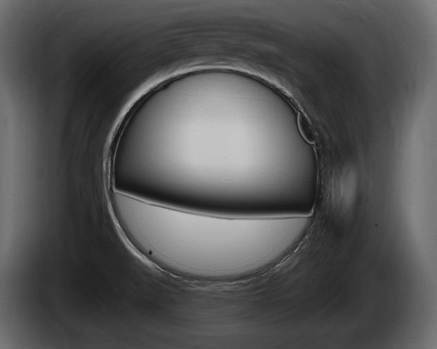 X0000085021519200703050926