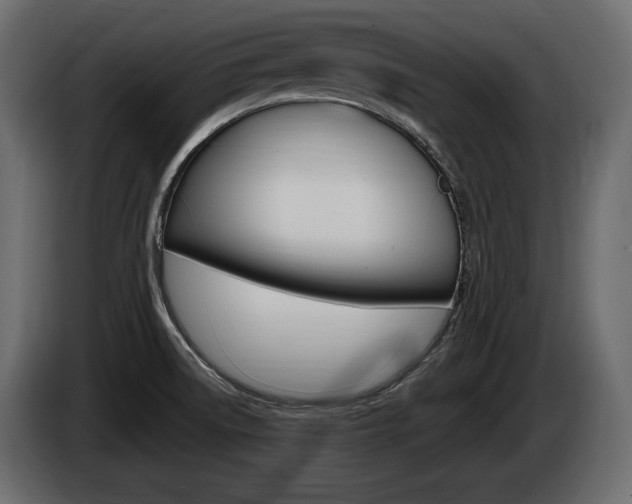 X0000085021522200703050926