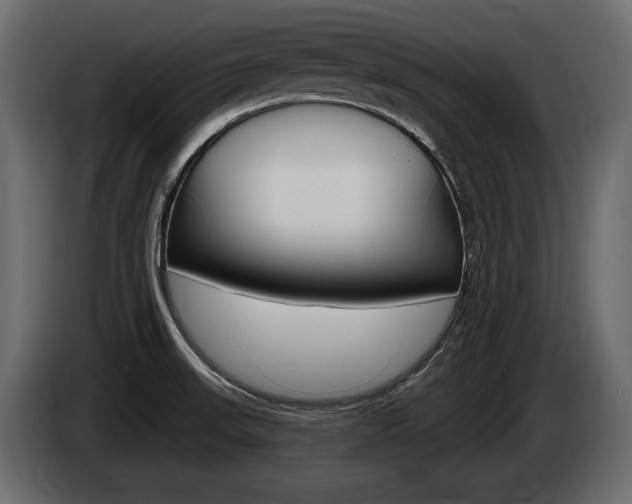 X0000085021523200703050926