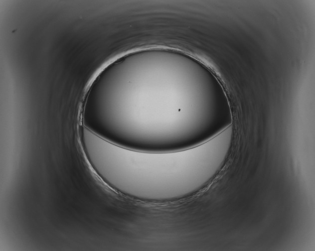 X0000085021524200703050926