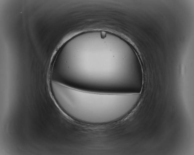 X0000085021525200703050926