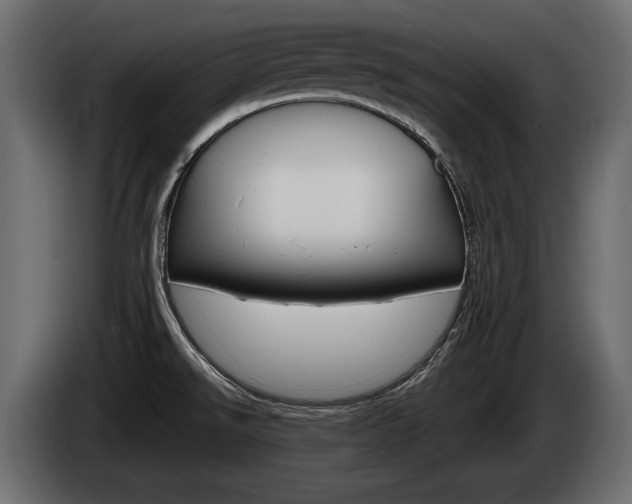 X0000085021526200703050926
