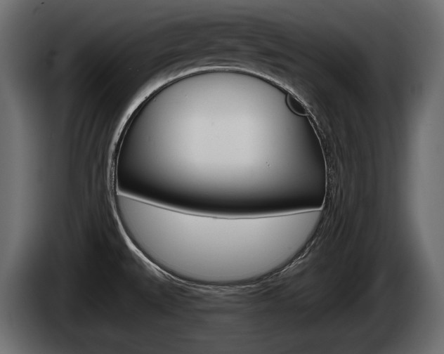 X0000085021527200703050926