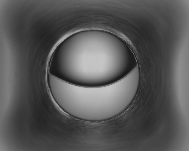 X0000085021528200703050926