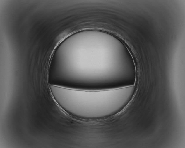 X0000085021529200703050926