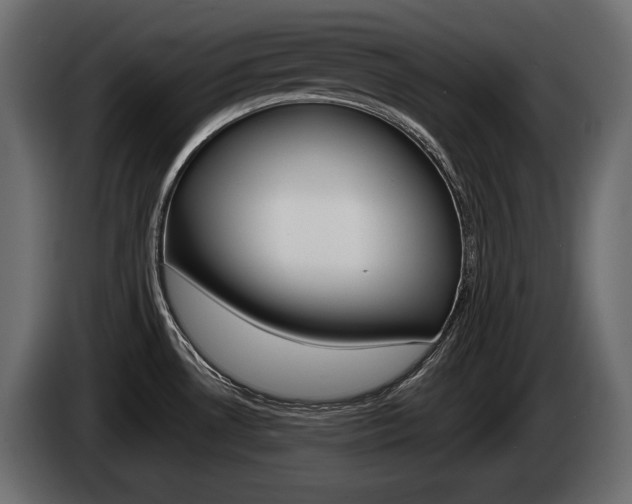 X0000085021530200703050926
