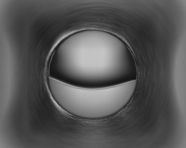 X0000085021531200703050926