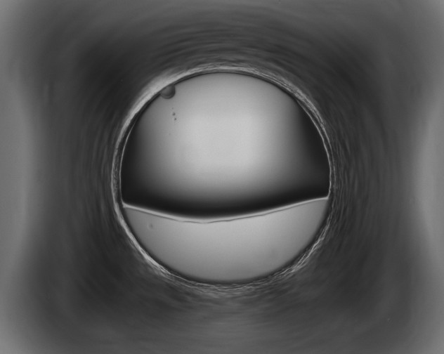 X0000085021533200703050926
