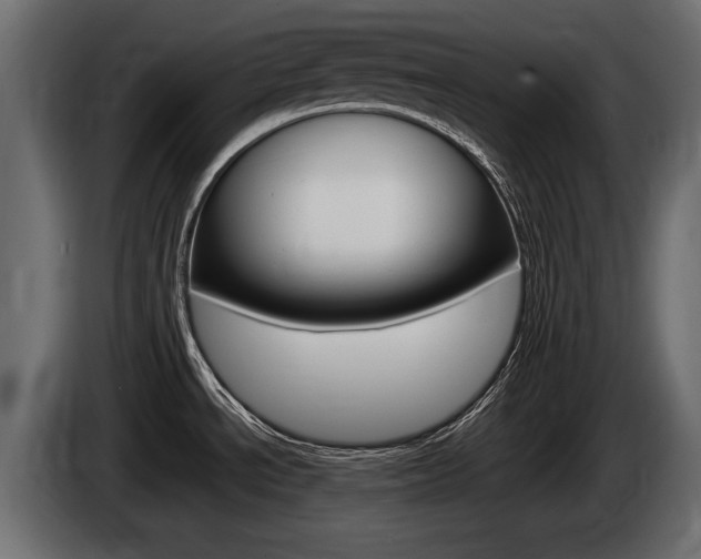 X0000085021534200703050926