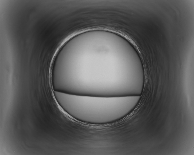 X0000085021535200703050926