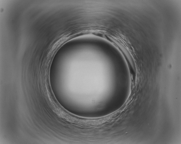 X0000085020001200703051325
