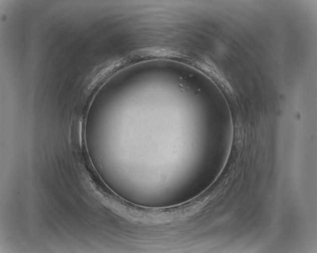 X0000085020014200703051324
