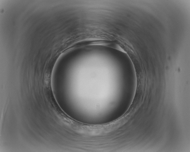 X0000085020033200703051324