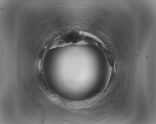 X0000085020041200703051324