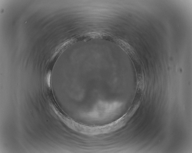 X0000085020047200703051324